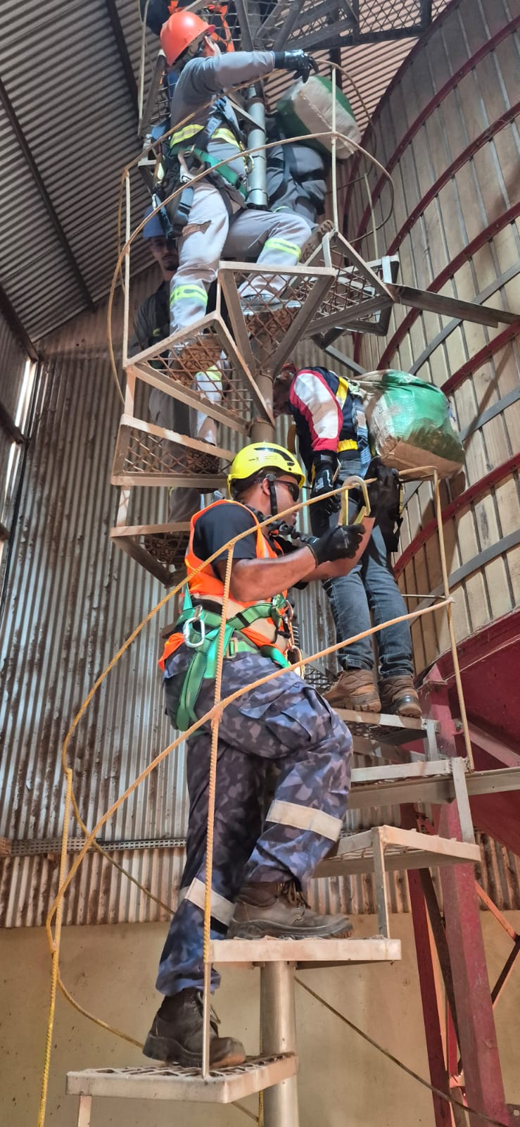 Banner da publicação